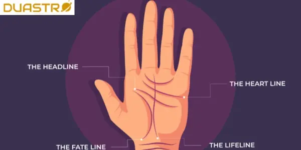 Secrets of Nail Analysis in Hand Reading